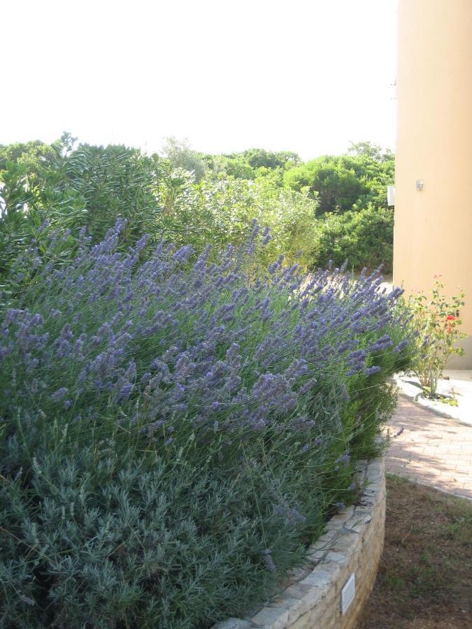 Villa „Drei Palmen“ Sveti Filip i Jakov Extérieur photo