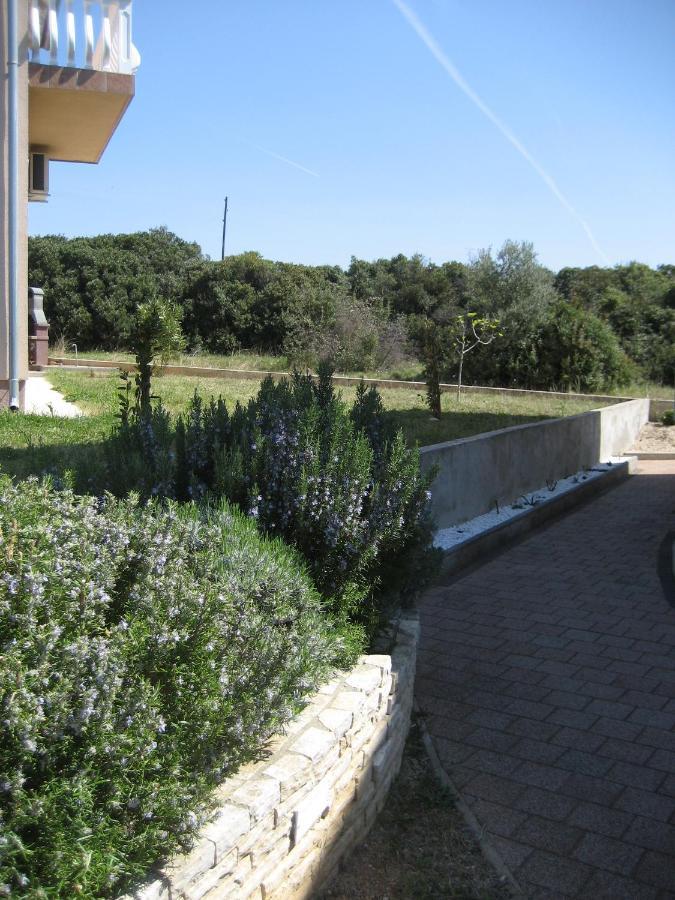 Villa „Drei Palmen“ Sveti Filip i Jakov Extérieur photo