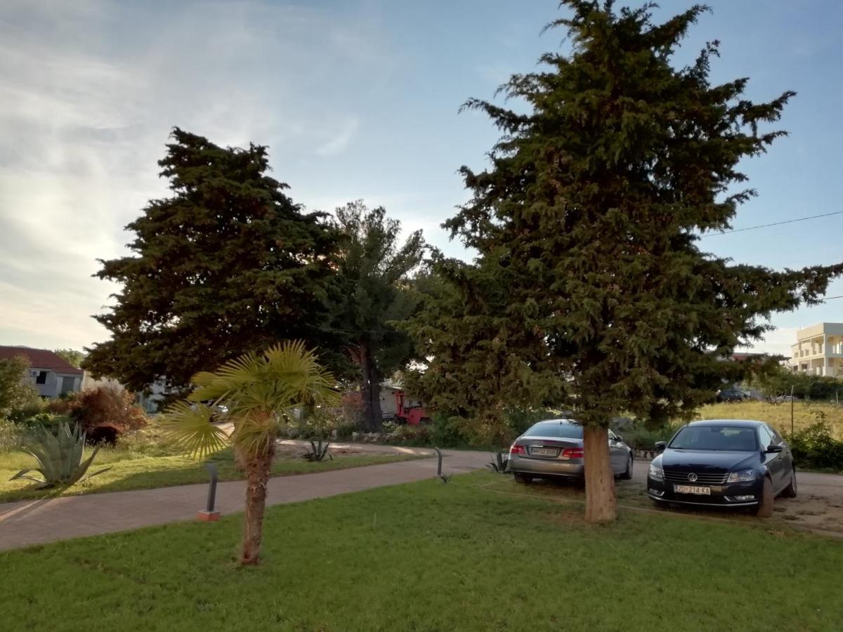 Villa „Drei Palmen“ Sveti Filip i Jakov Extérieur photo