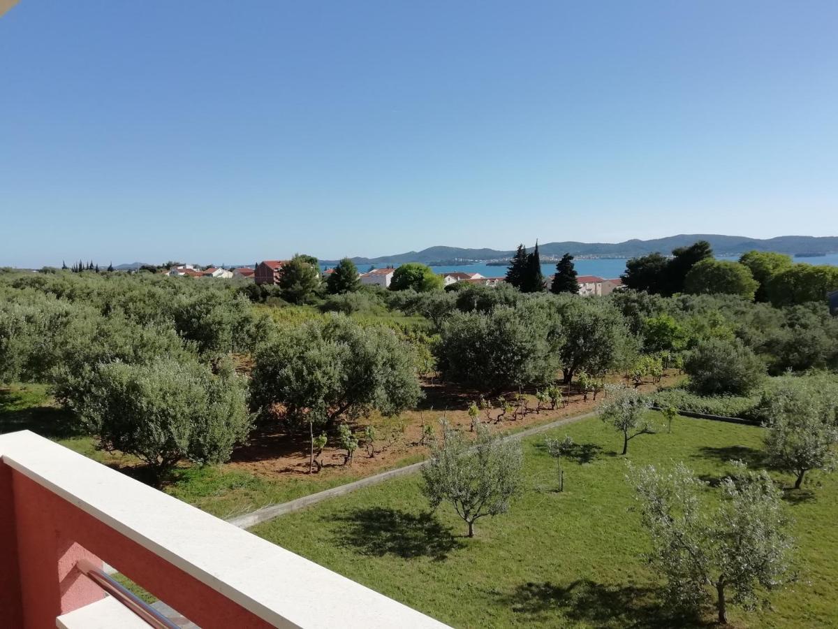 Villa „Drei Palmen“ Sveti Filip i Jakov Extérieur photo