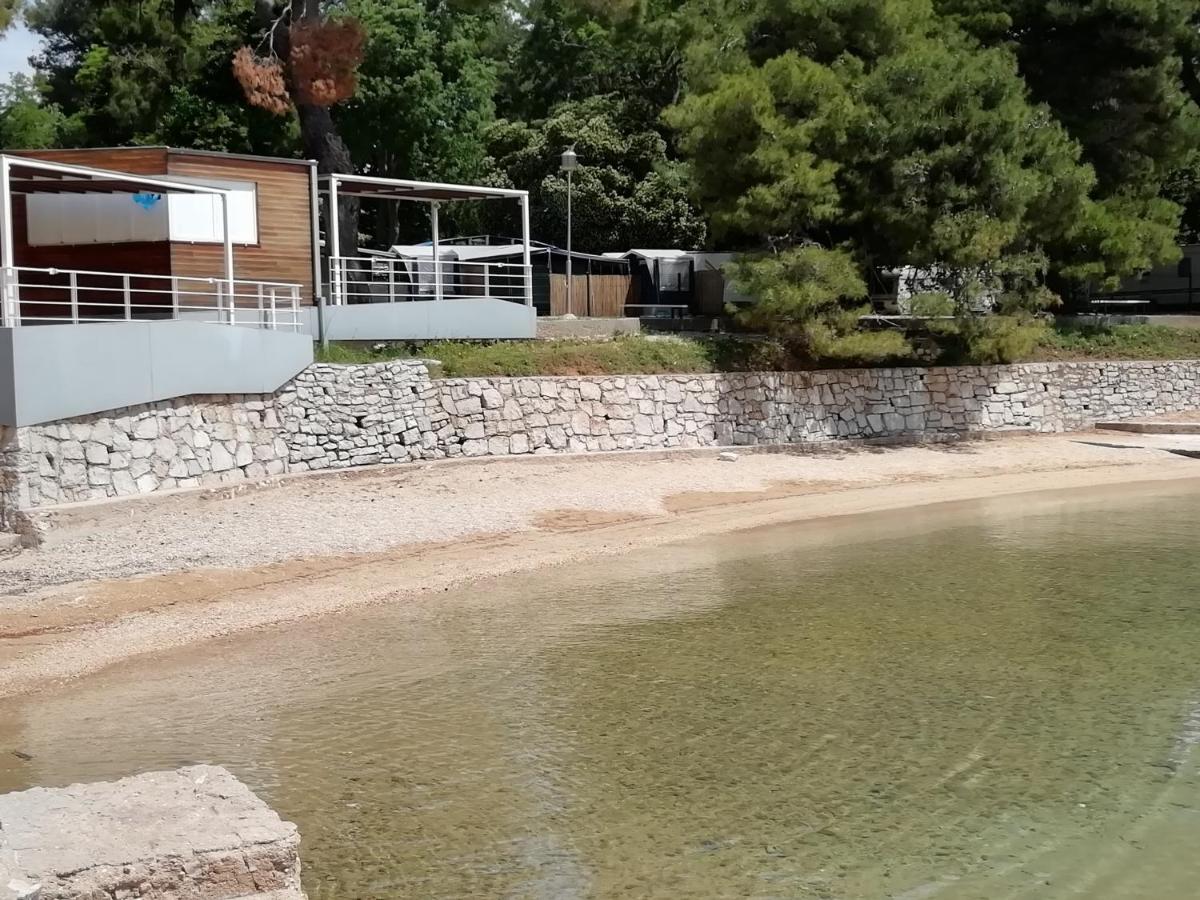 Villa „Drei Palmen“ Sveti Filip i Jakov Extérieur photo