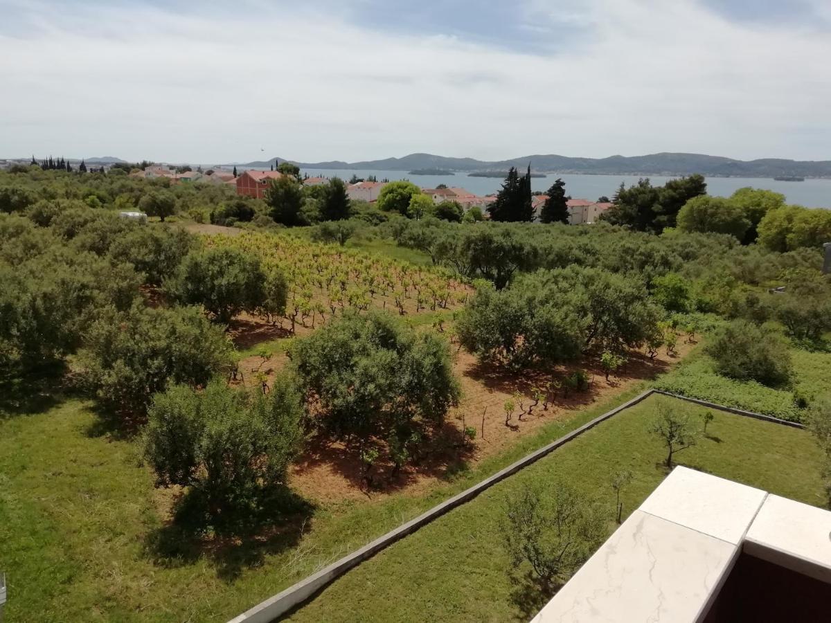 Villa „Drei Palmen“ Sveti Filip i Jakov Extérieur photo